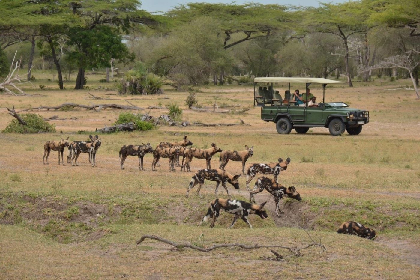 Fly in safari zuidwest Tanzania