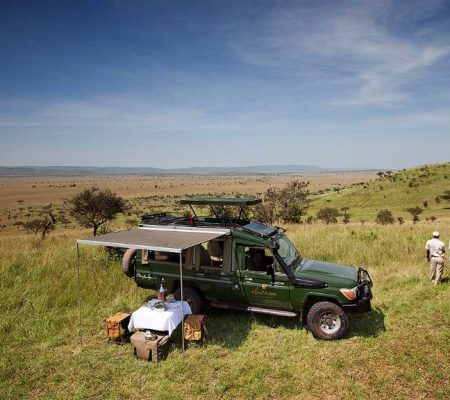 Safari jeep