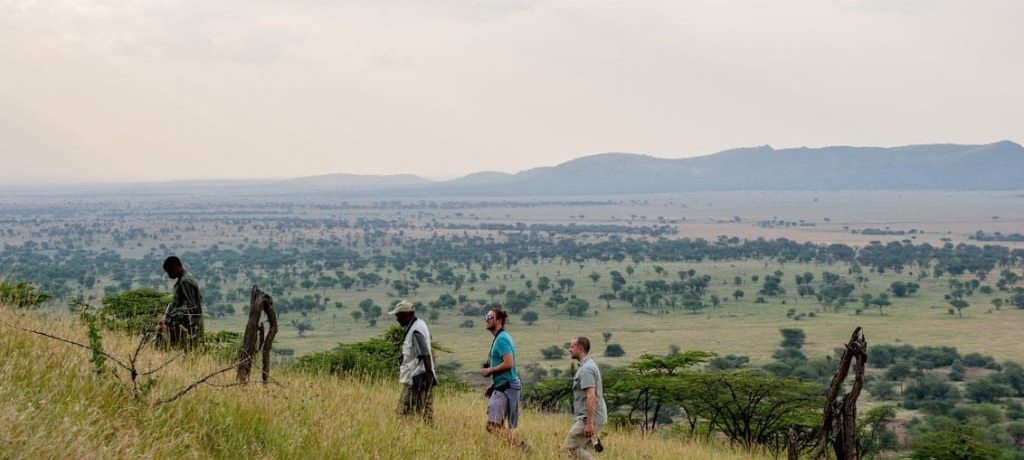 Serengeti Serena Safari Lodge