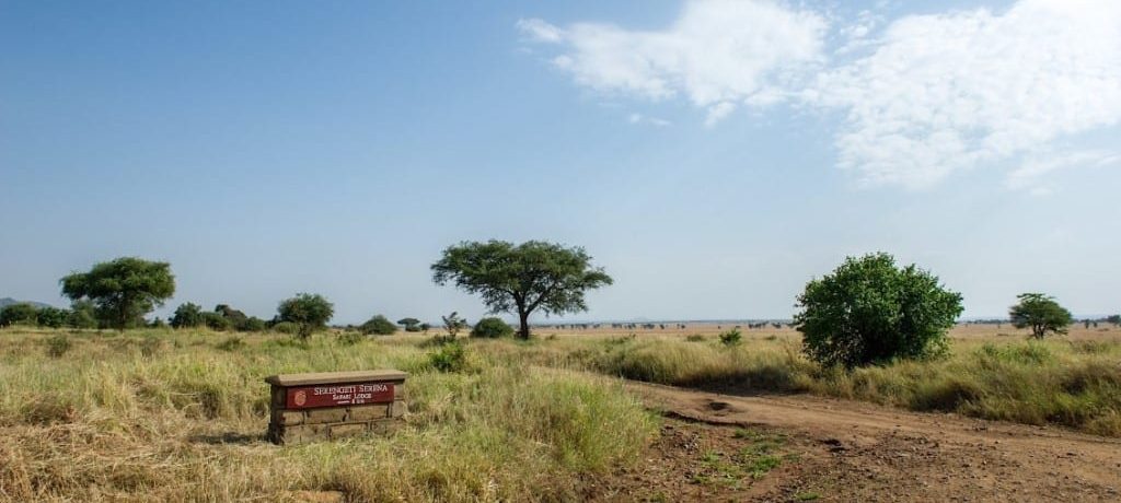 Serengeti Serena Safari Lodge