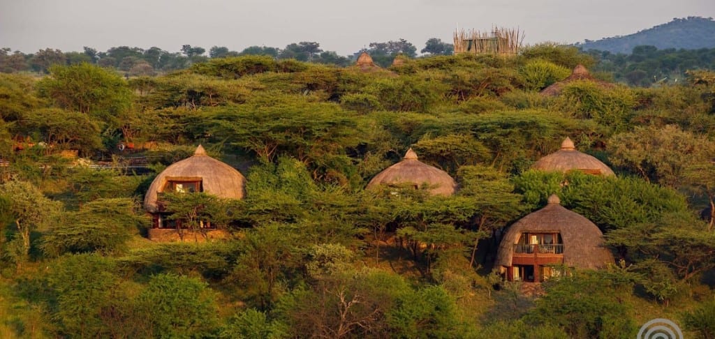 Serengeti Serena Safari Lodge