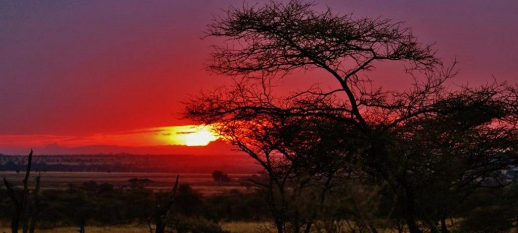 Serengeti-sundown-e1476442128658