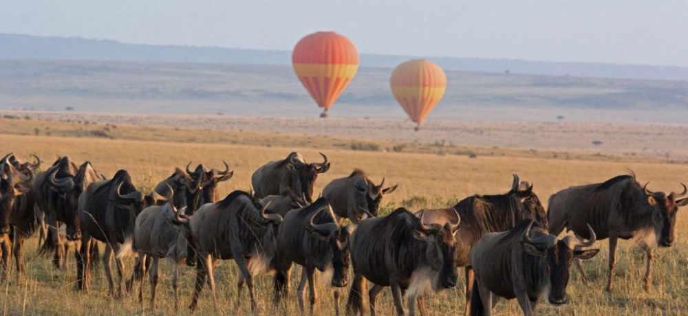 Wildebeest migratie Tanzania, Noord Tanzania