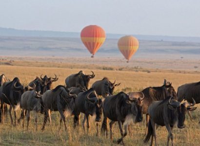 Wildebeest migratie Tanzania, Noord Tanzania