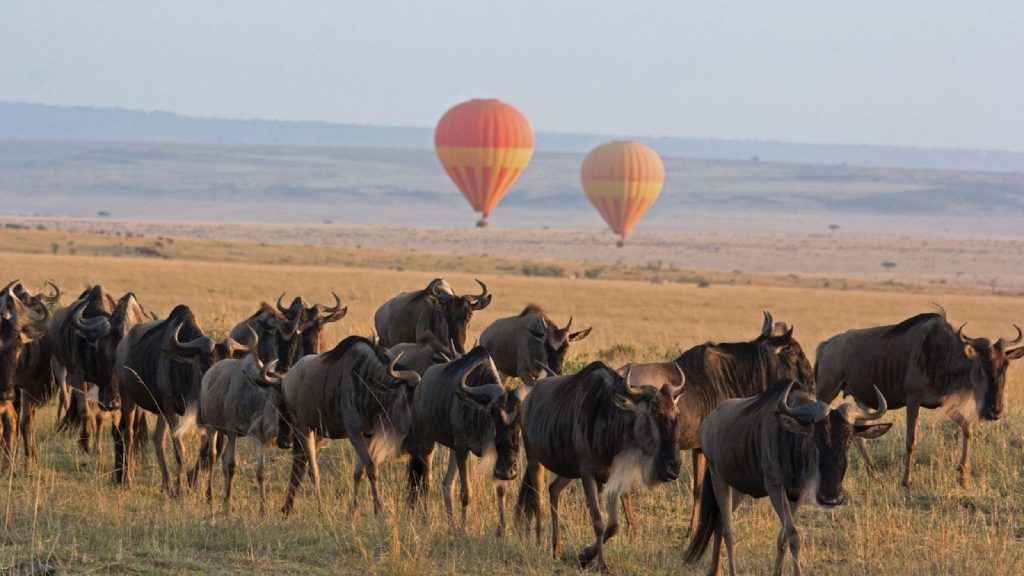 Wildebeest migratie Tanzania, Noord Tanzania