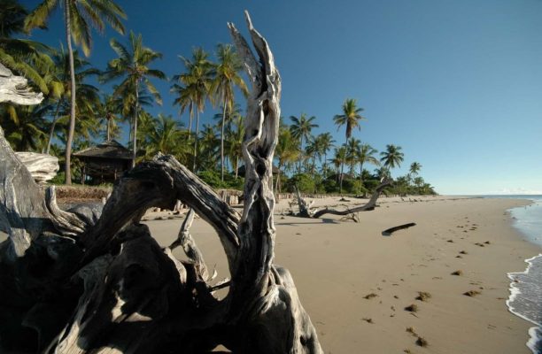 Saadani National Park