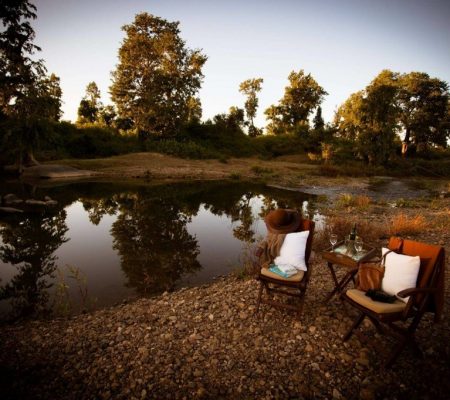 Bush picknick