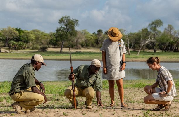 Wandelsafari Nyerere