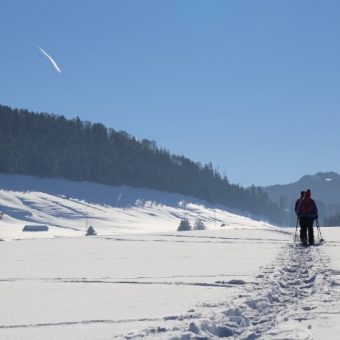 Sneeuwschoen wandeling