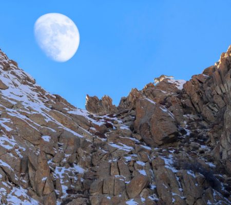 Snow Leopard Ulley Lodge Snowleopard Expeditie, Snow Leopard Ulley Lodge