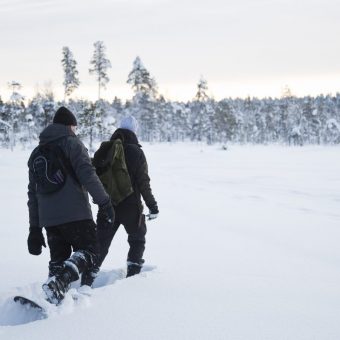 Wilderness Hotel Inari