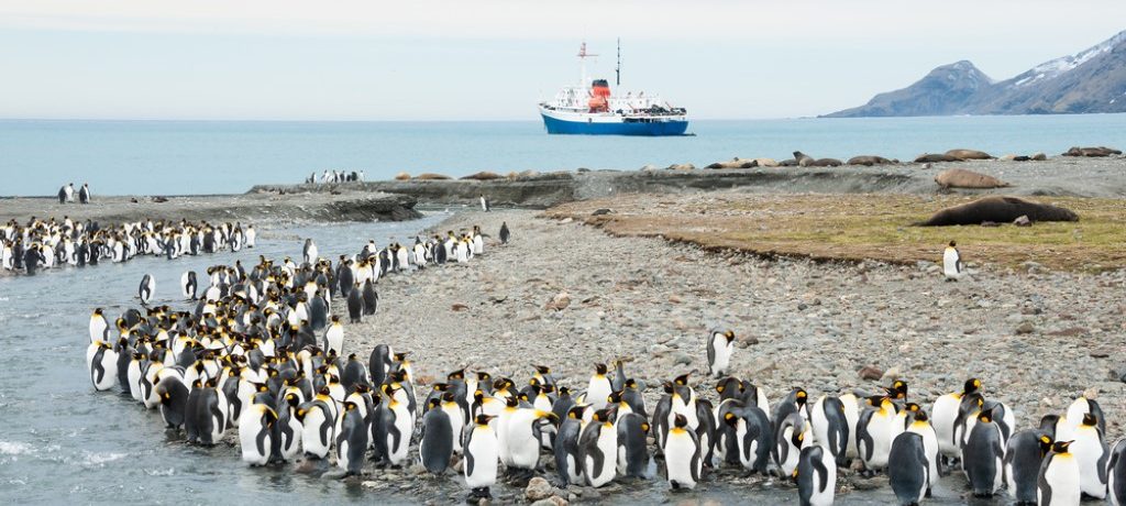 South Orkney & Shetlands, Ultieme Antarctica cruise