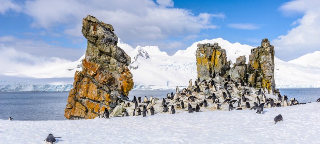 South Orkney & Shetlands, Fly cruise South Shetlands