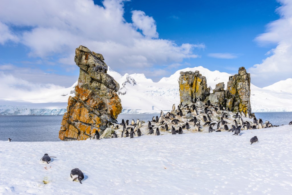 South Orkney & Shetlands, Fly cruise South Shetlands