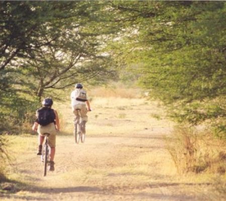 Mountainbiken