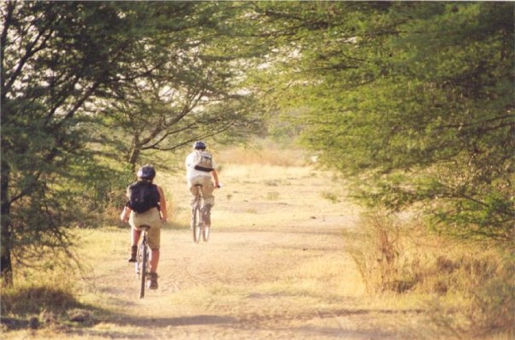 Mountainbiken