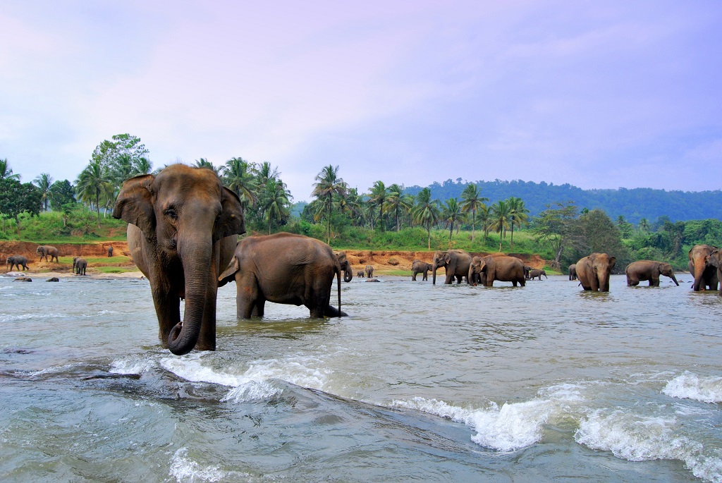 Sri Lanka