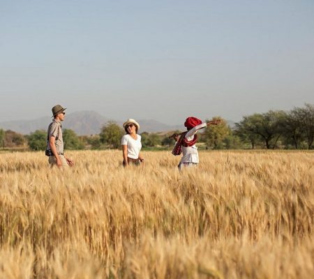 Tabari herders
