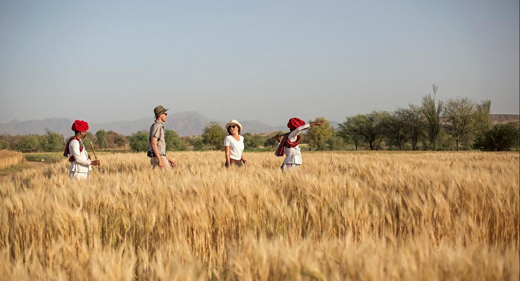 Tabari herders