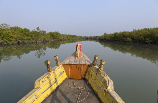 Sundarbans