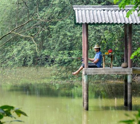 Vissen Sunderban