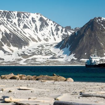 MV Explorer
