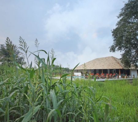 Svasara Jungle Lodge