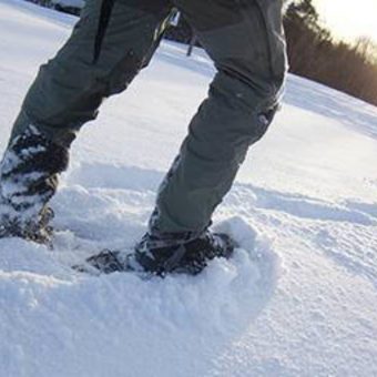 Sneeuwschoen
