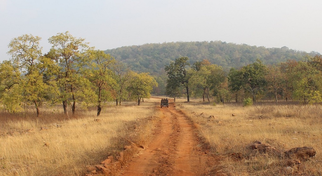 Tadoba National Park, Centraal India