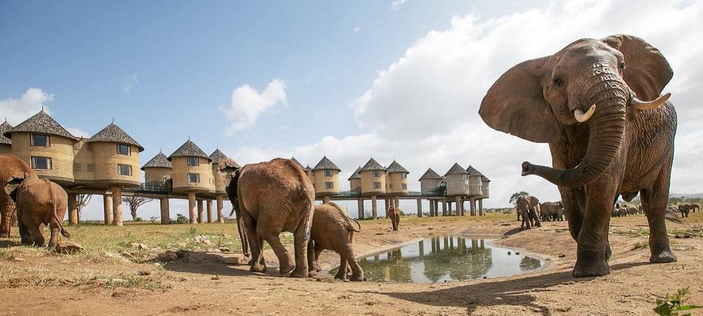 Taita Hills Salt Lick