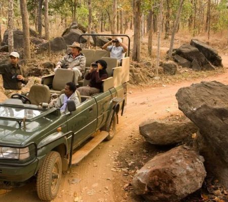 Game drive