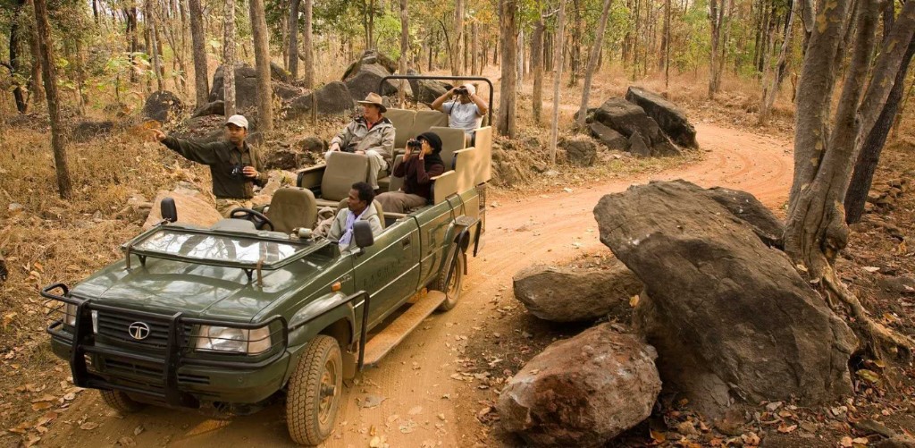 Game drive