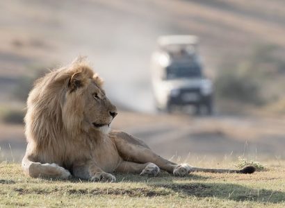 Safari reizen, Tanzania