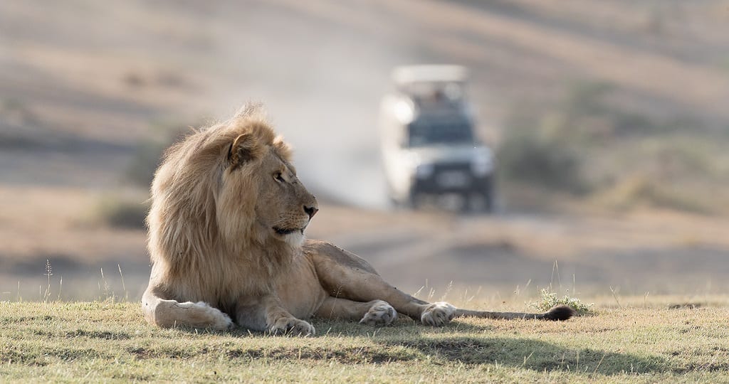 Safari reizen, Tanzania