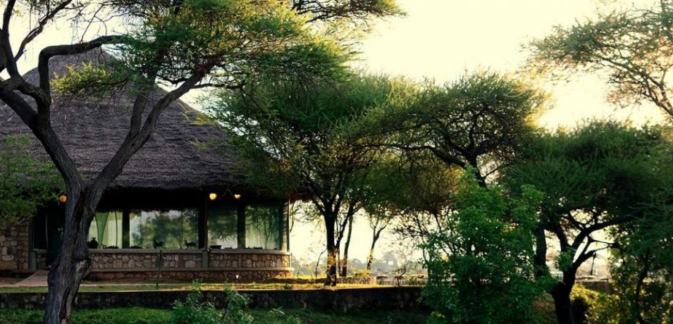 Tarangire Safari Lodge