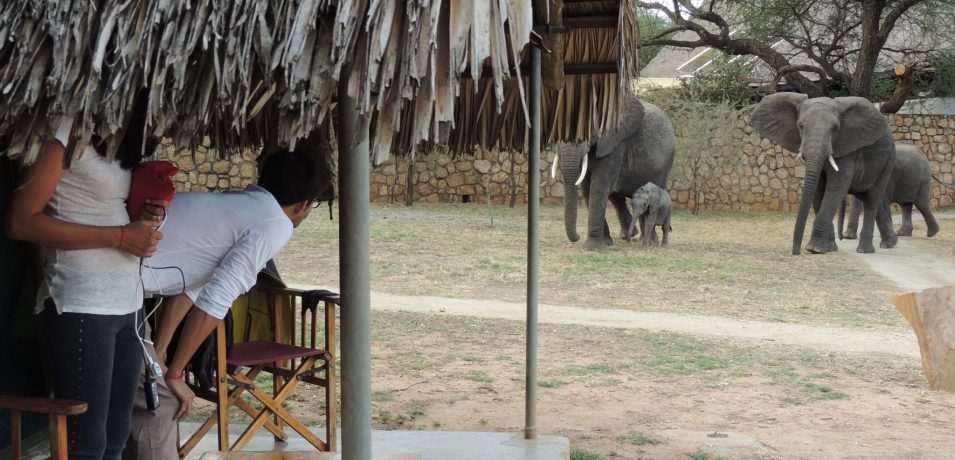 Tarangire Safari Lodge