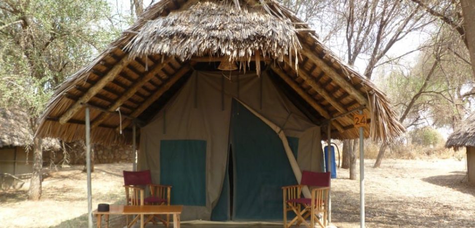 Tarangire Safari Lodge