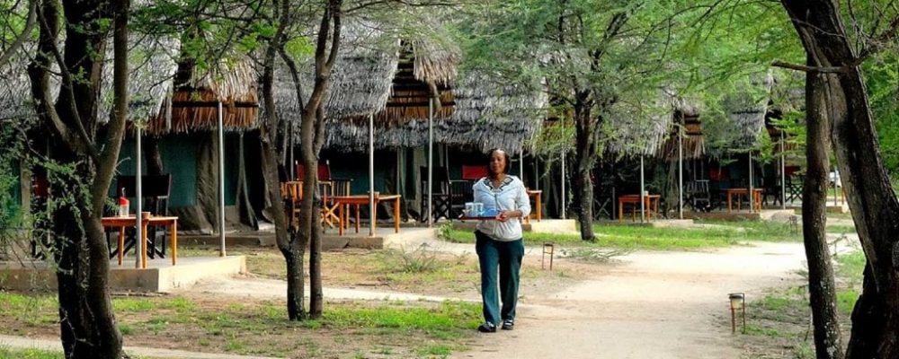 Tarangire Safari Lodge