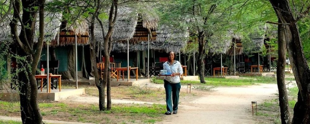 Tarangire Safari Lodge