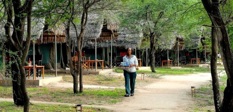 Tarangire Safari Lodge