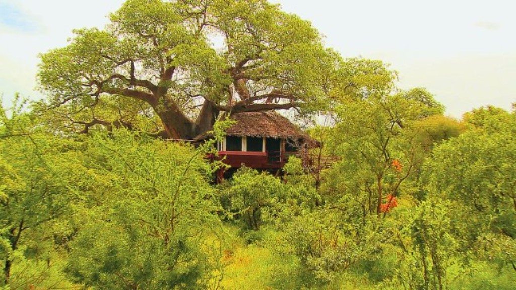 Elewana Tarangire Treetops