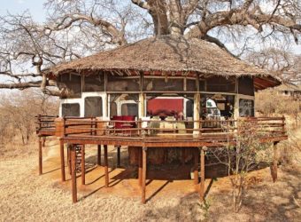 Tarangire Treetops