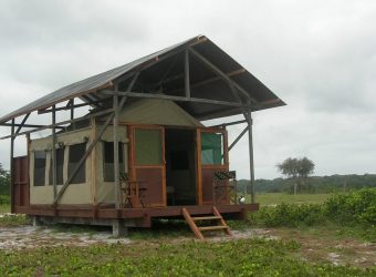 Tassi Savannah Camp