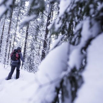 sneeuwschoen