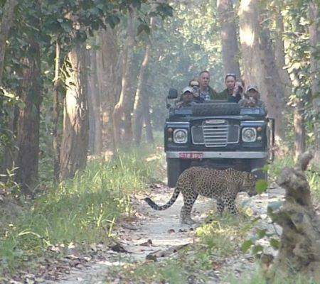 Tiger Tops Karnali Lodge Game drive