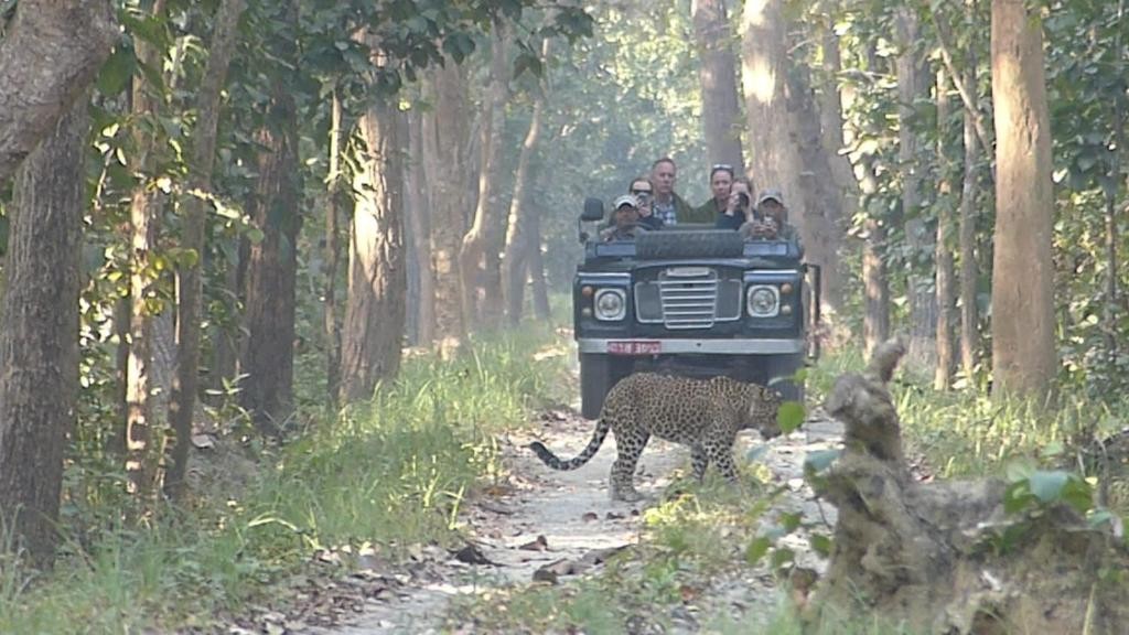 Game drive