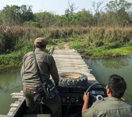 Game Drive