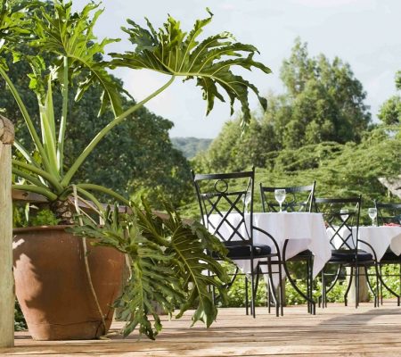 Terras