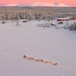 Torassieppi Eco Reindeer Resort