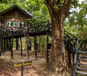 Tree House Hideway Bandhavgarh